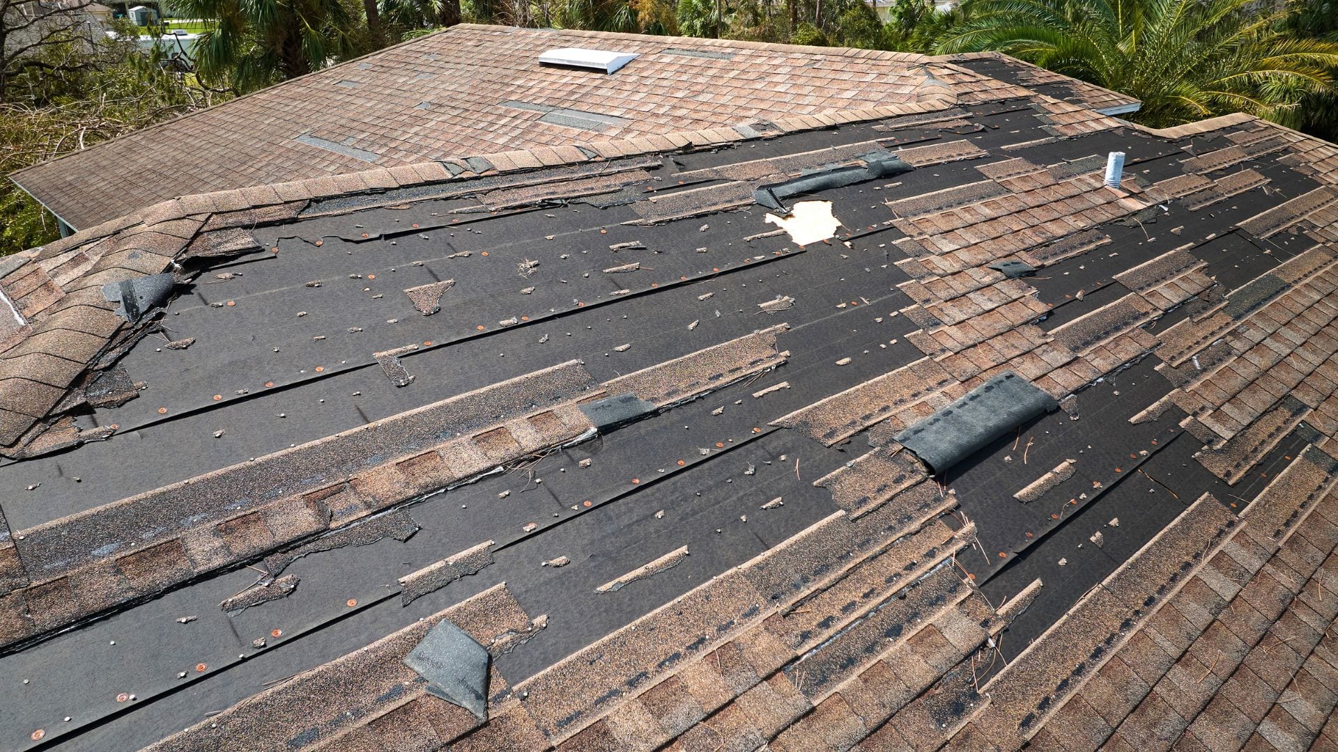 Roof stripped bare by hurricane-force wind on the South Carolina coast