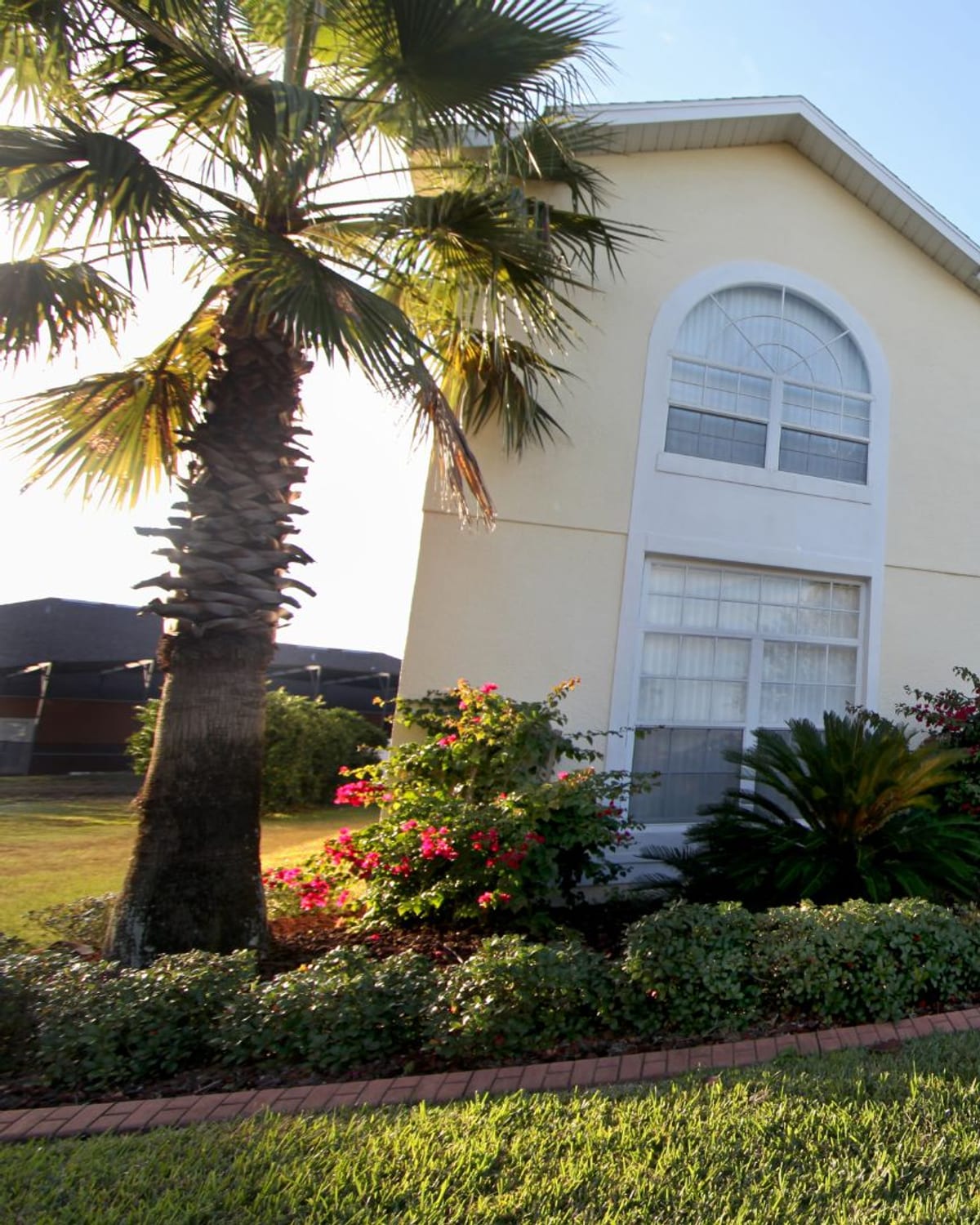 Georgetown, SC home with a shingle roof and mature palms in the front yard