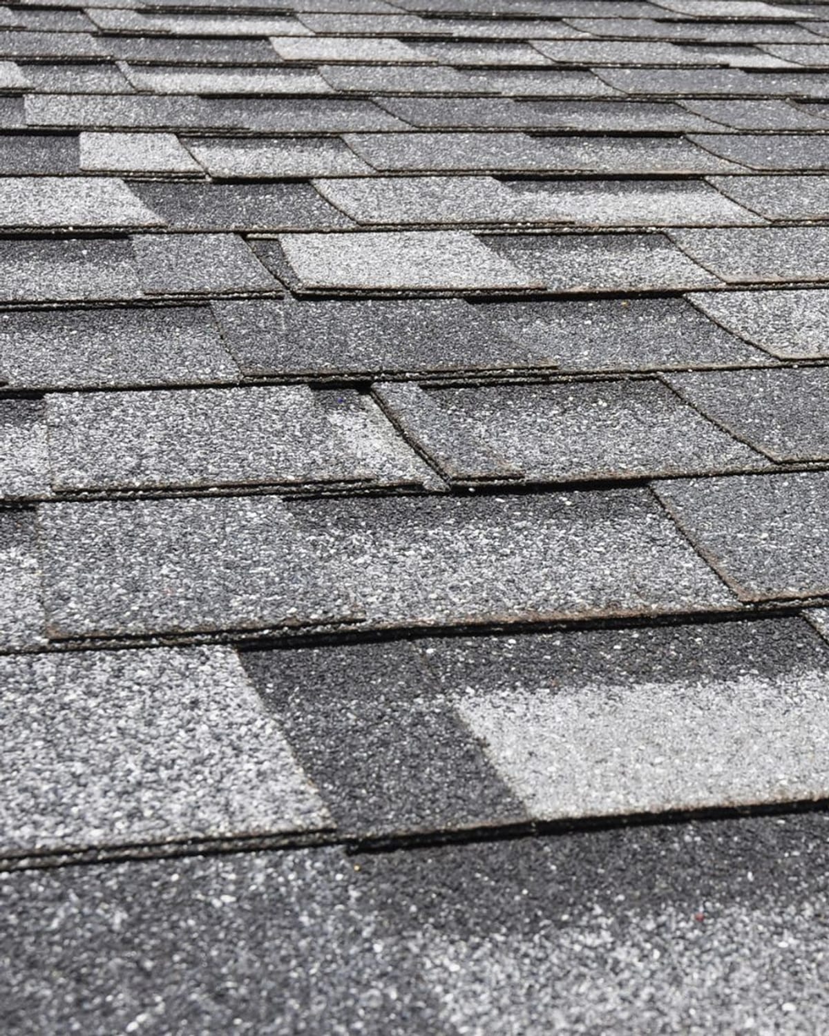Close detail of weathered asphalt shingle courses on a Grand Strand roof