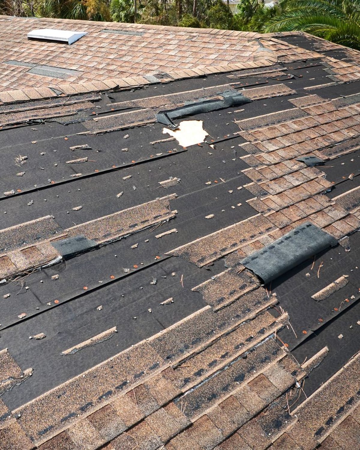 Roof planes stripped of shingles after a named storm crossed the South Carolina coast