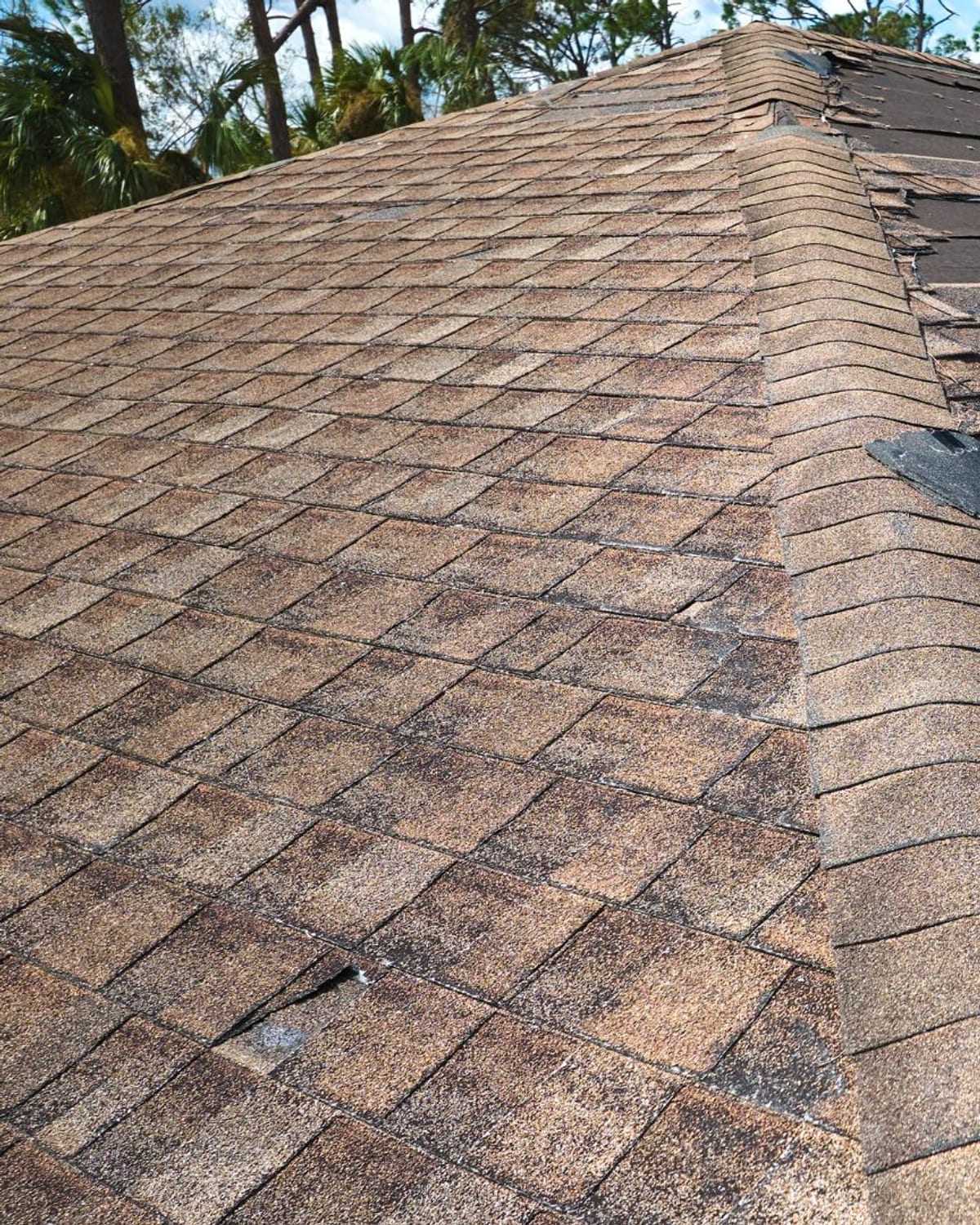 Aging shingle roof with sections blown away exposing the underlayment